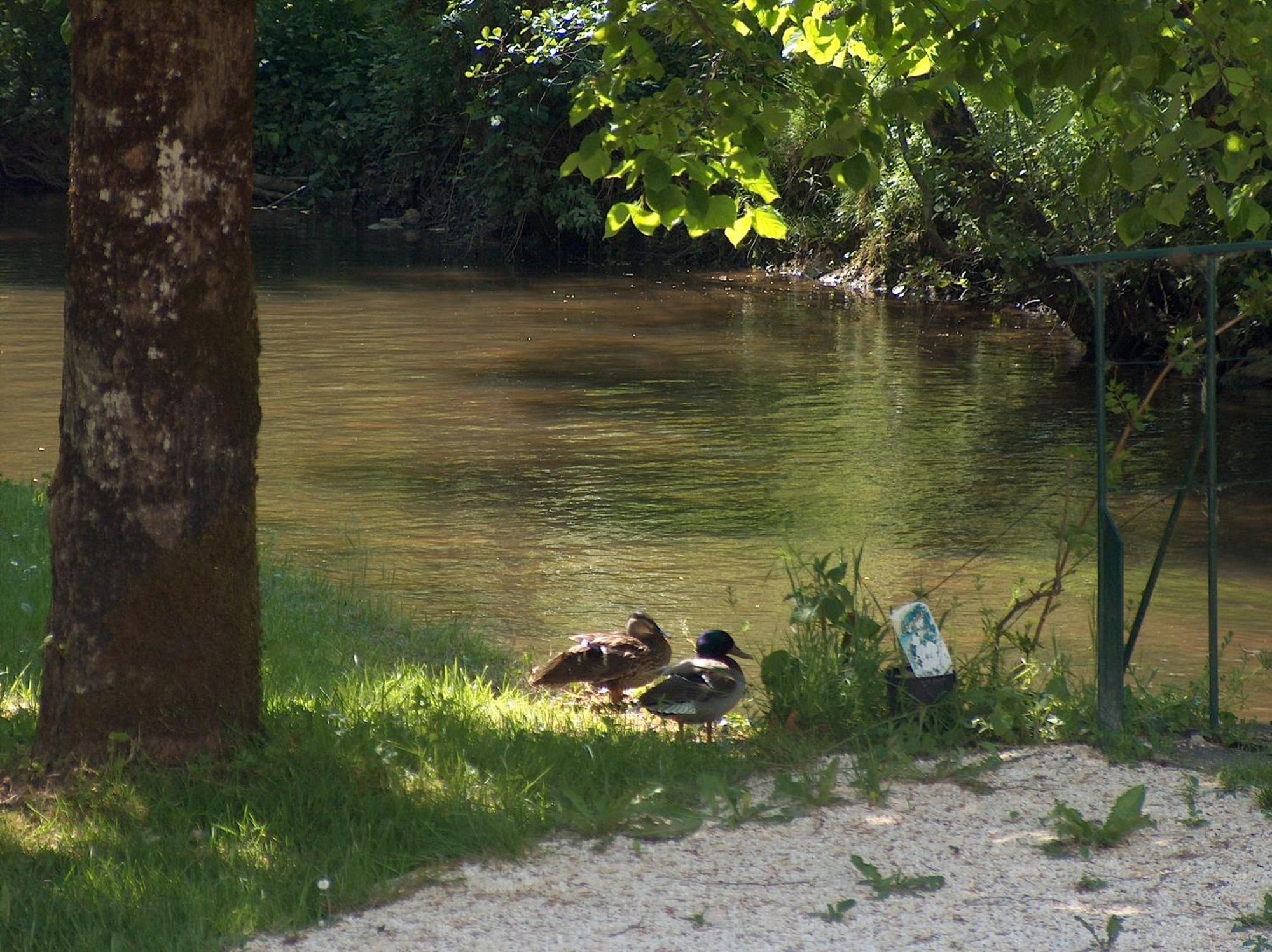 מלון Valeuil Moulin De Vigonac מראה חיצוני תמונה